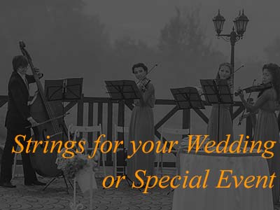 Strings for Your Heart - Weddings & Special Event